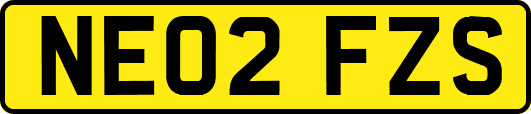 NE02FZS