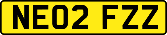 NE02FZZ