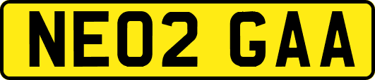 NE02GAA