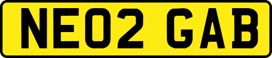 NE02GAB