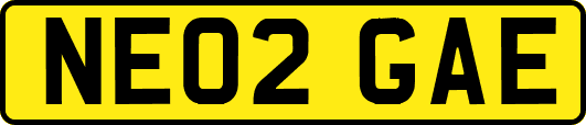 NE02GAE