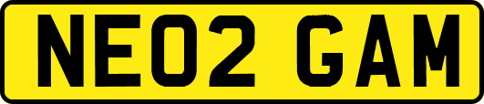 NE02GAM