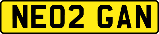 NE02GAN