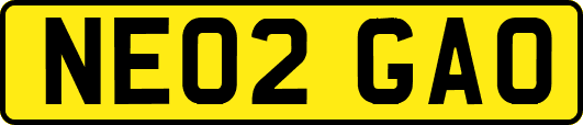 NE02GAO