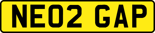 NE02GAP