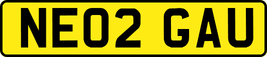 NE02GAU