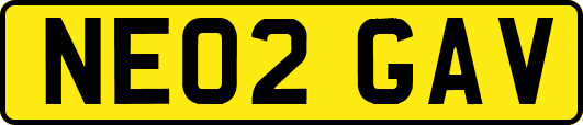NE02GAV