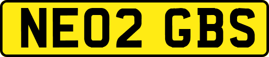 NE02GBS