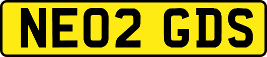 NE02GDS