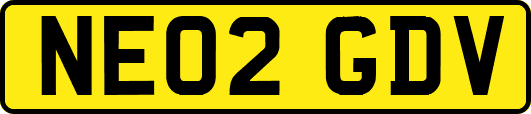 NE02GDV