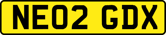 NE02GDX