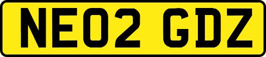 NE02GDZ