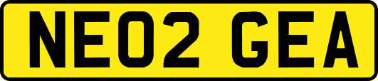 NE02GEA