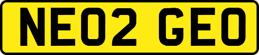 NE02GEO