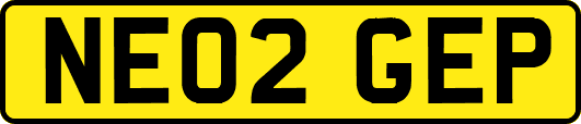 NE02GEP