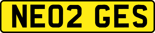 NE02GES