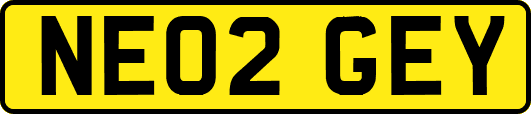 NE02GEY