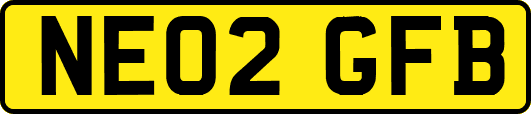 NE02GFB