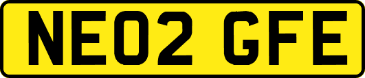 NE02GFE