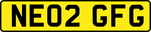 NE02GFG