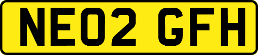 NE02GFH