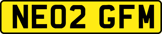 NE02GFM