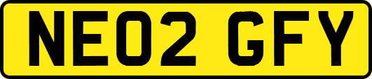 NE02GFY