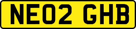 NE02GHB
