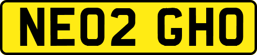 NE02GHO