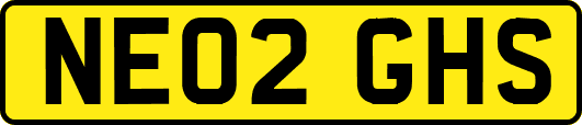 NE02GHS