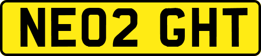 NE02GHT