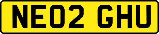 NE02GHU
