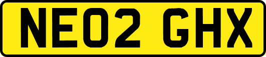 NE02GHX