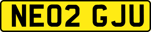 NE02GJU