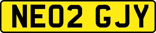 NE02GJY