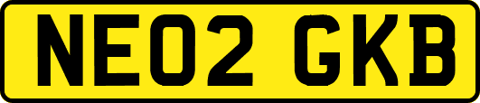 NE02GKB