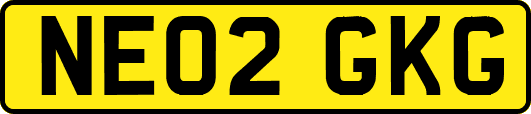 NE02GKG