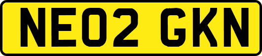 NE02GKN