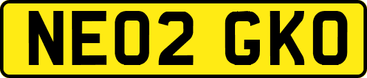NE02GKO