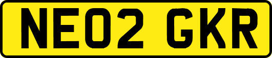 NE02GKR