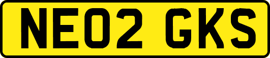 NE02GKS