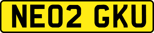 NE02GKU