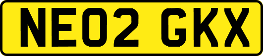 NE02GKX