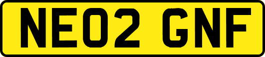 NE02GNF