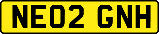NE02GNH