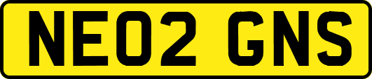 NE02GNS