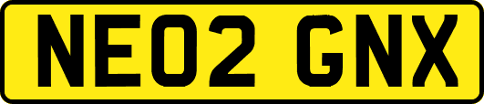 NE02GNX