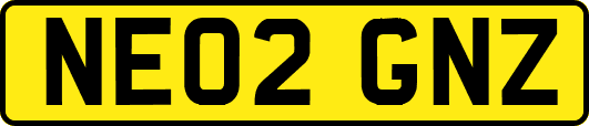 NE02GNZ