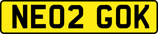NE02GOK