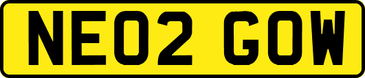 NE02GOW